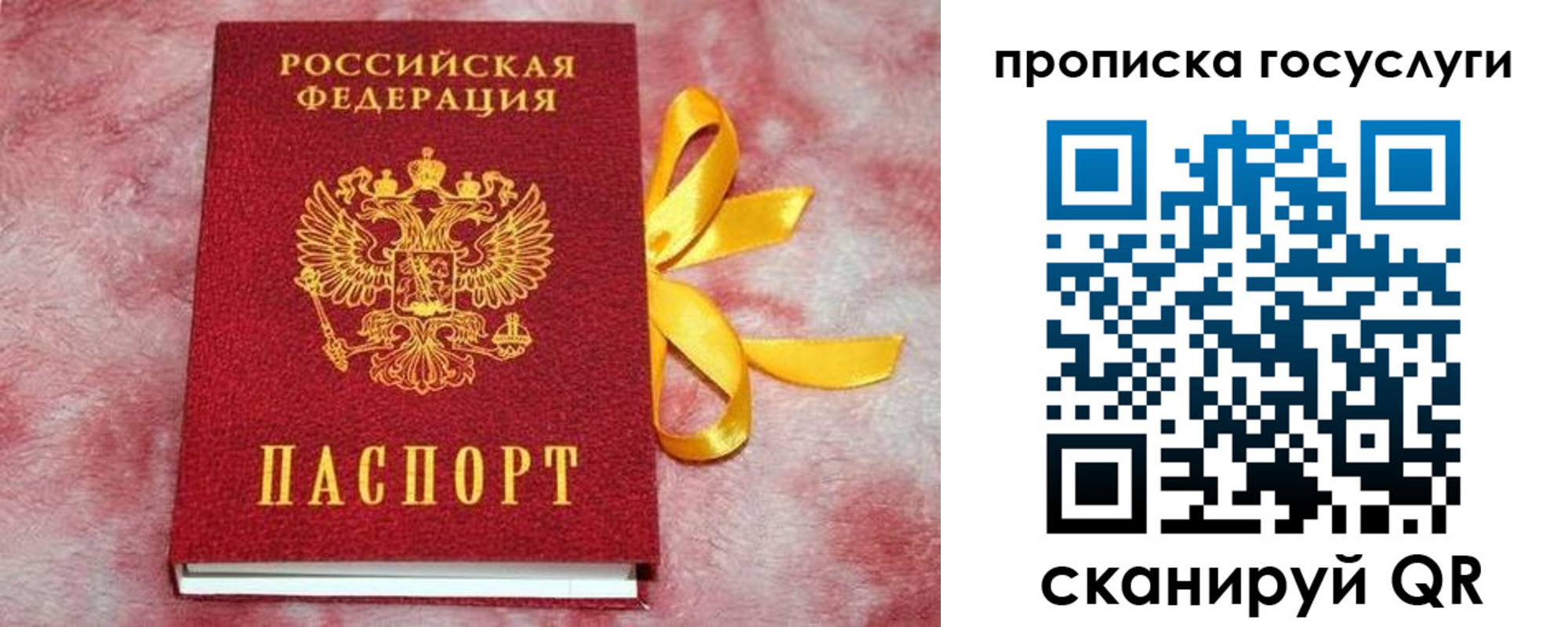 прописка законно в Гатчине